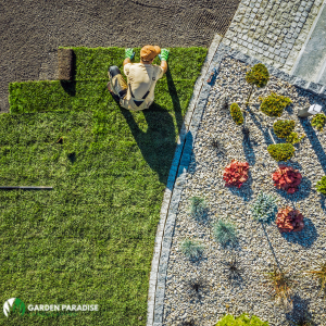 تركيب عشب جداري بجدة