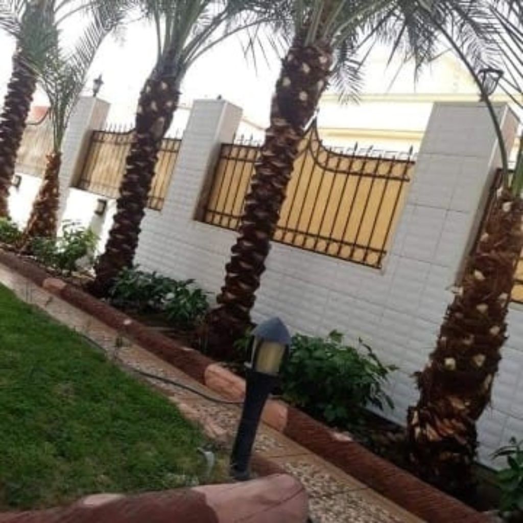 تصميم بدون عنوان (50)