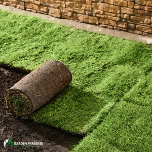 تنسيق حدائق منزلية جدة